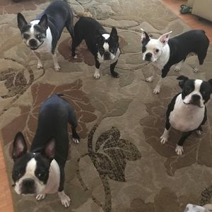 Meet your Posher, Lori